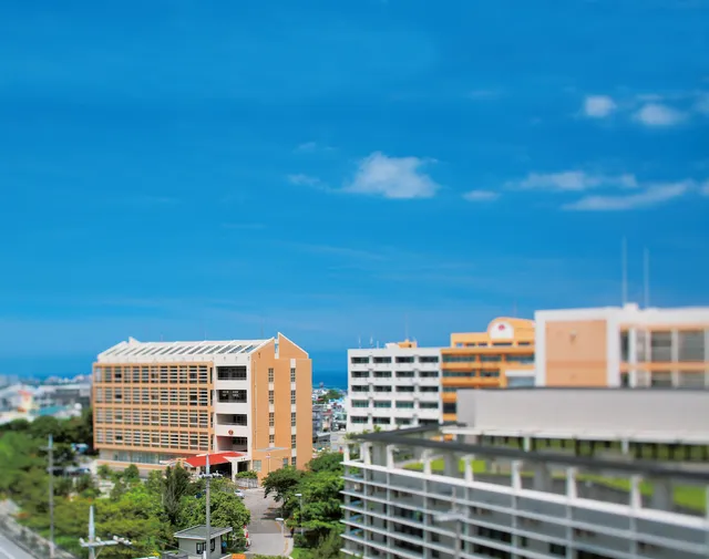 Okinawa International University