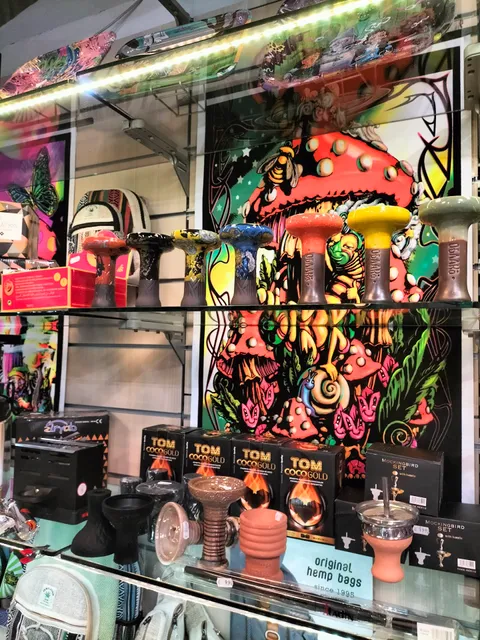 Amnesia Alternative Shop Ferrara