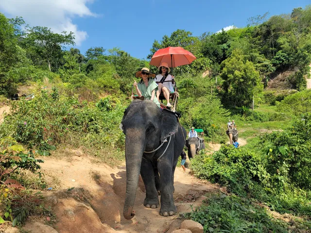 Phuket Kathu Elephant Sanctuary