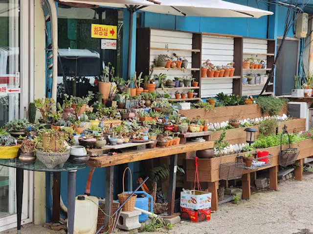 미애네칼국수 1호점 본점