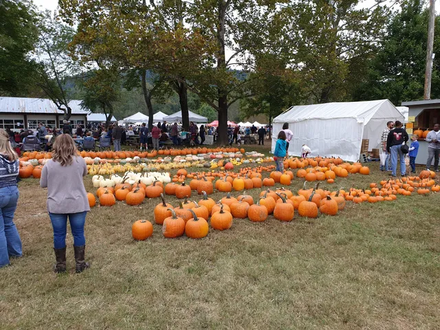 Graves' Mountain Lodge - Picnic Pavilion