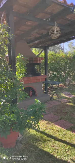 Les olives Woodhouse