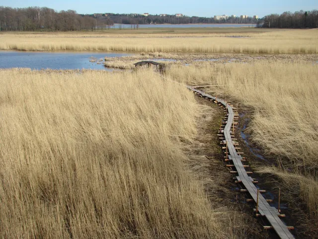 Pornaistenniemi Birdwatching Tower