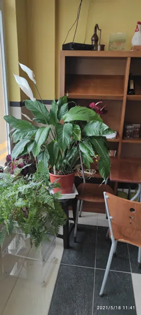 Dona Graça - Grill & Gourmet