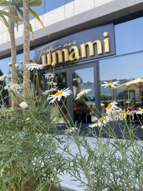 Umami