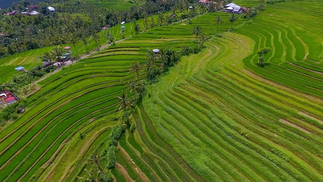 Sambangan Village Tourist Information (Sambangan Secret Garden)