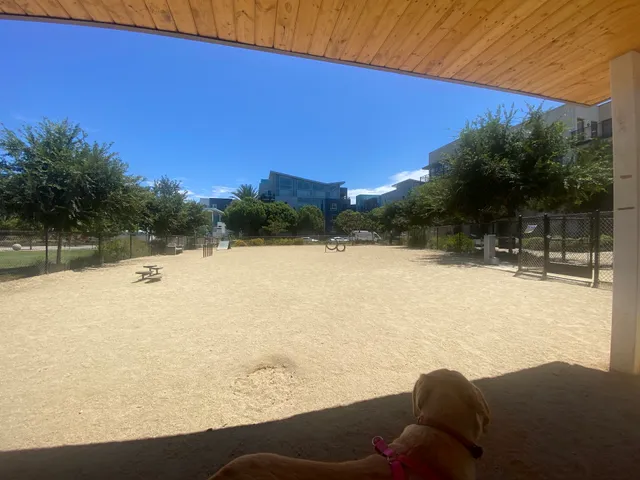 Centrum Dog Park