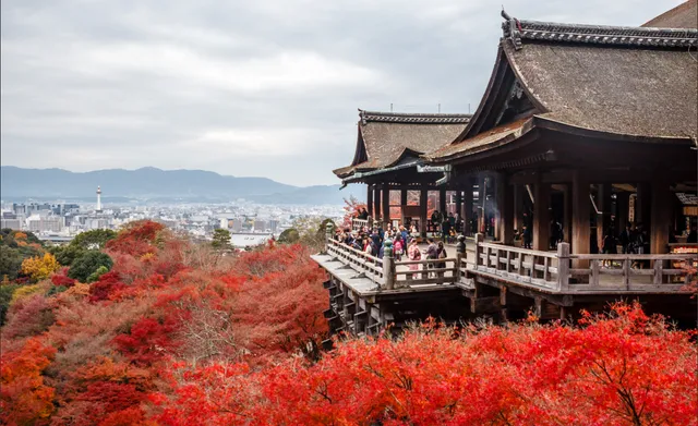 Kyotabi - Experiências Nipônicas com Rapha