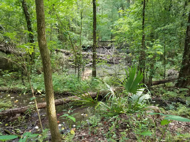 Angus Gholson Nature Park