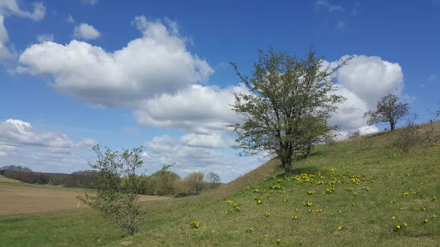 Gaststätte Adonisröschen