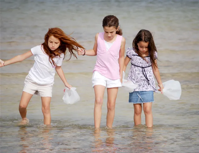 Spongeorama Cruise Lines