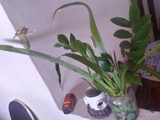 Bar e Sorveteria Do Divino