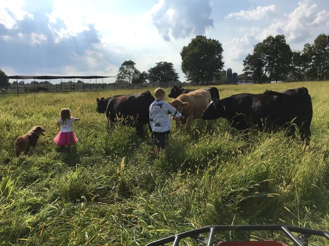 Blue Silo Beef, Pork & Chicken