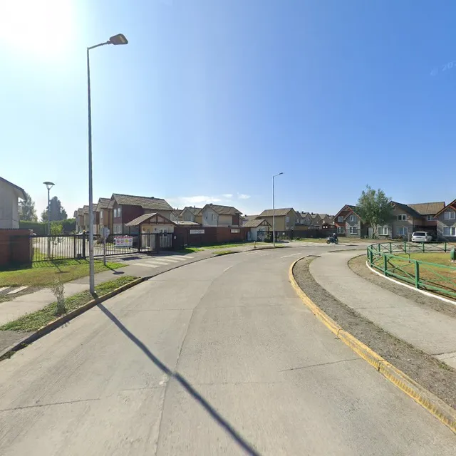 LOMO ALEMÁN - Brisa del Sol