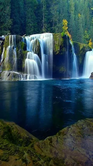 Mammoth vape and smoke shop