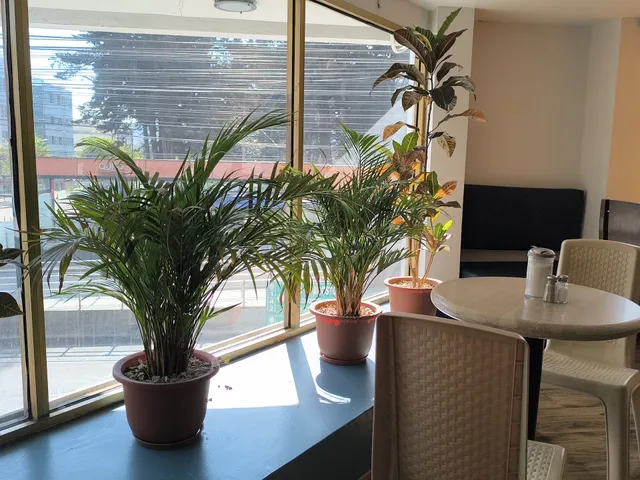 Café21 - Santa Clara