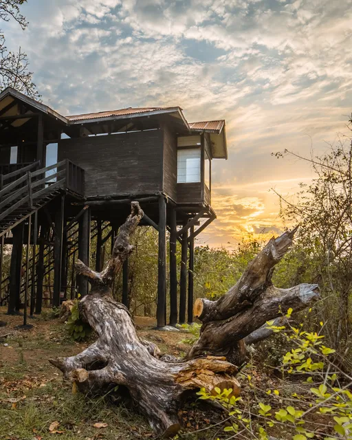 Pench Tree Lodge