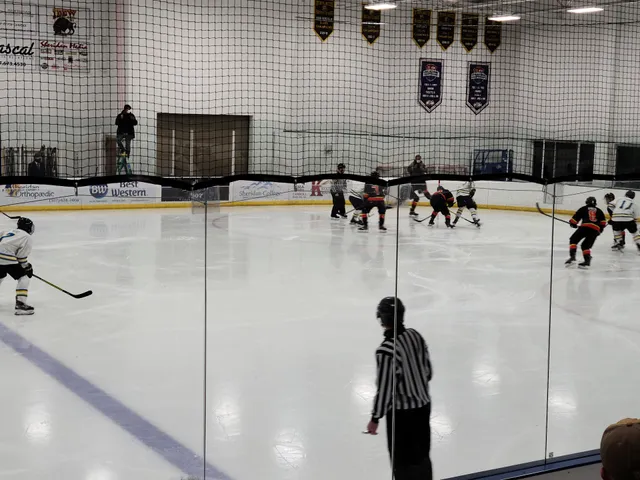 Whitney Rink in the M&M's Center