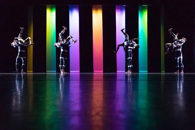 Stichting De Dutch Don't Dance Division