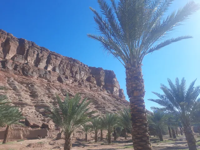 Emirate of AlUla Governorate