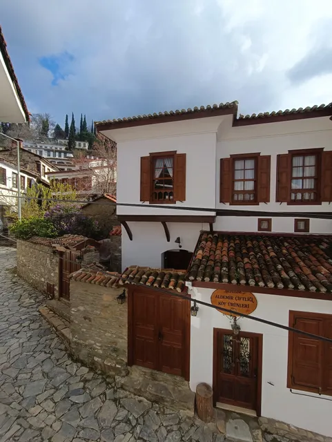 Aycan Hanım Konağı