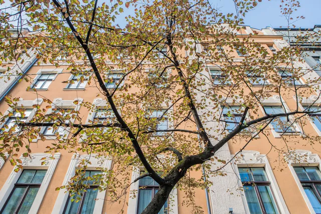 Stabu Sēta Residence