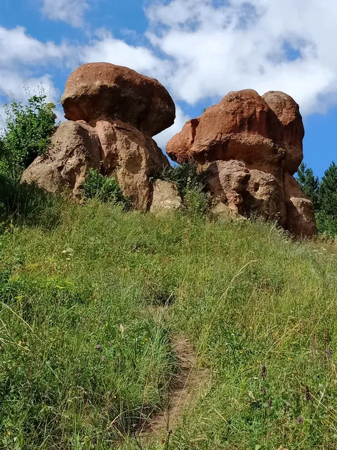 Krasnyye Kamennyye Griby