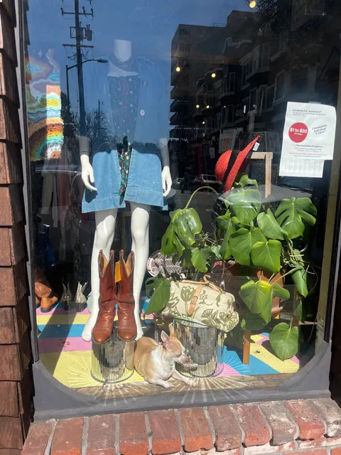 The Sunshine Prophecy