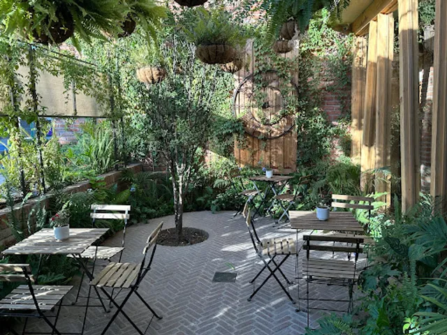 Coffee Bar 500 Noches León