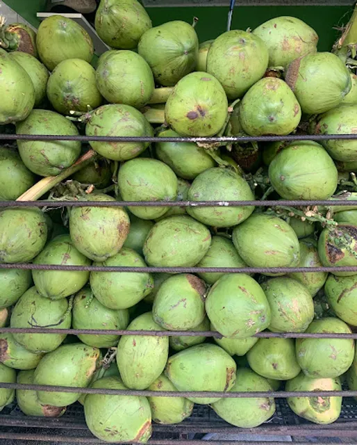 Água de Coco Farolândia - Bento’s Coco