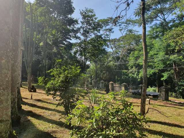 Museu Histórico e de Ordem Geral "Plínio Travassos dos Santos"