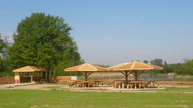 Kajaczek.pl kayaking Pilicą