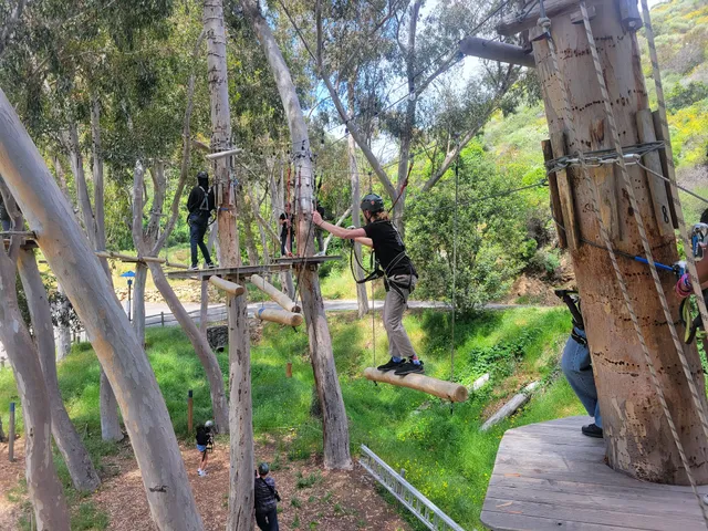 Catalina Aerial Adventure