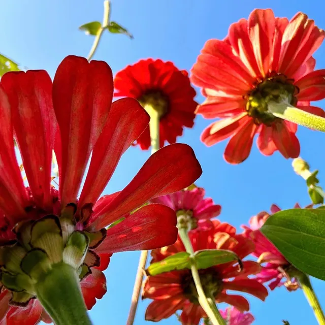 REMIX唐齊/預約制