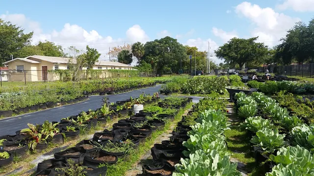 Dania Beach Patch Community Garden