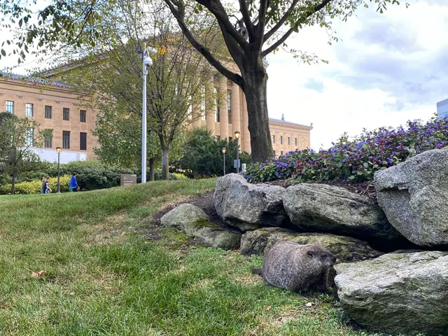 The Anne d’Harnoncourt Sculpture Garden