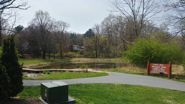 Font Hill Wetland Park