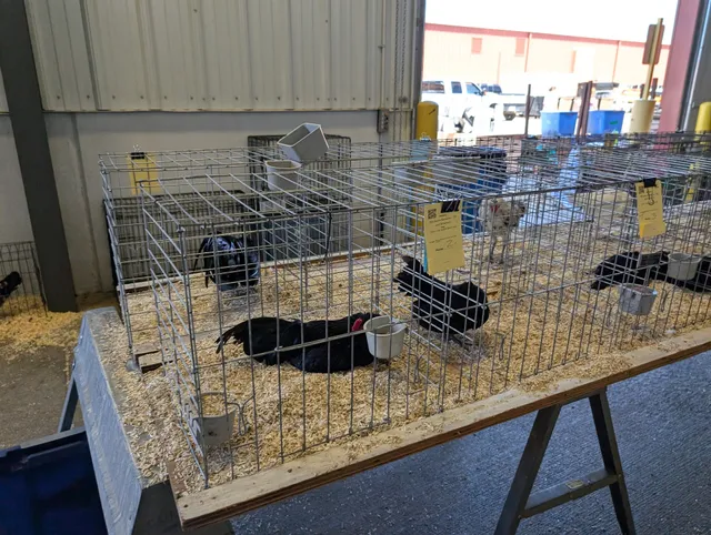 Five Points Bank Arena