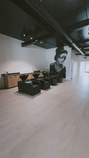 The Modern Collective