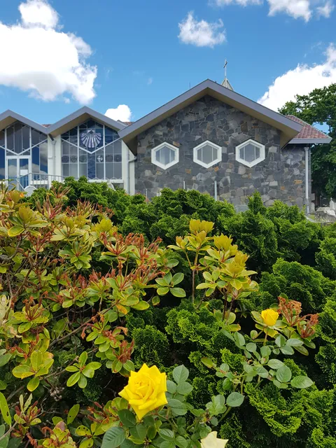 Our Lady Star of the Sea