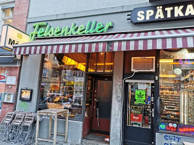 Möve im Felsenkeller