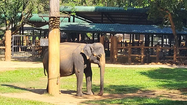 Elephant Orphanage - Entrance (Gate-B)