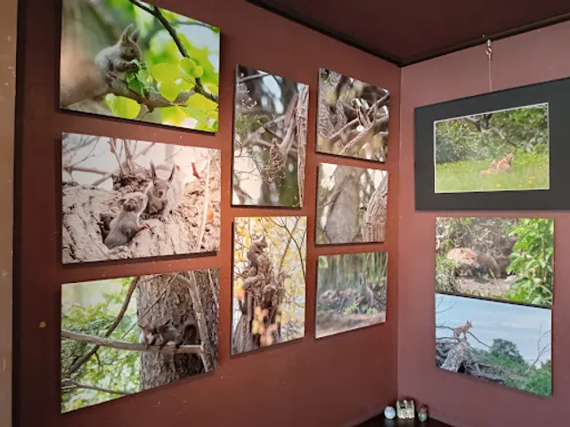 画廊喫茶 チャオ