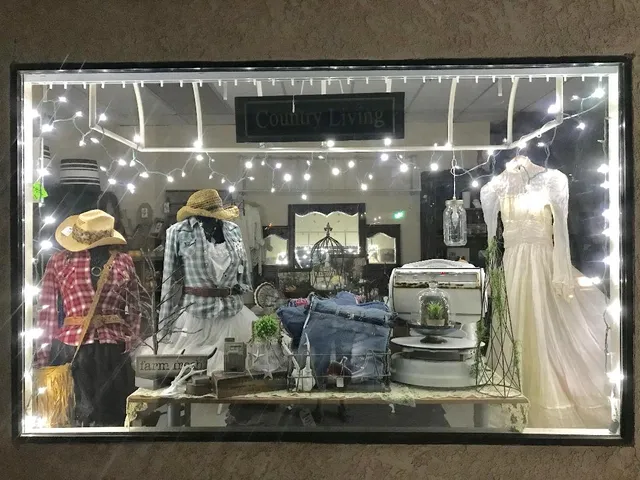 PaizLy Vintage & Antiques