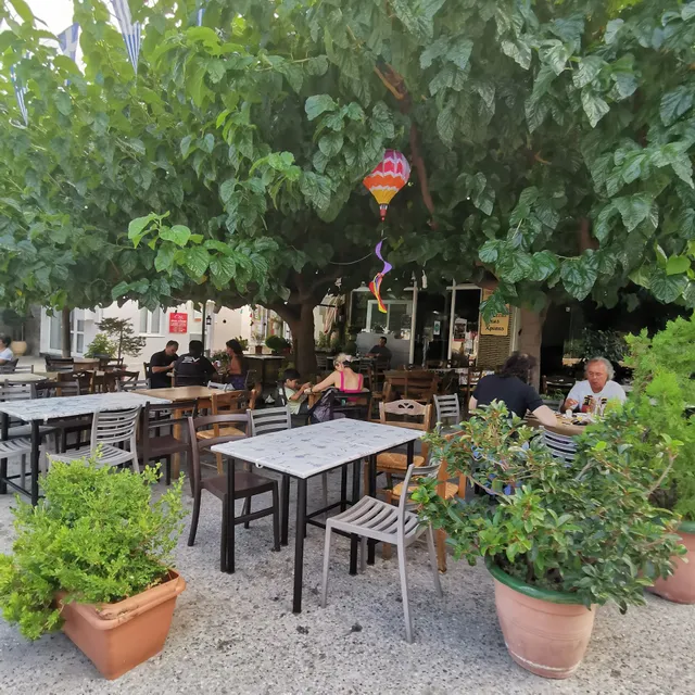 Το Στέκι της Χρύσας