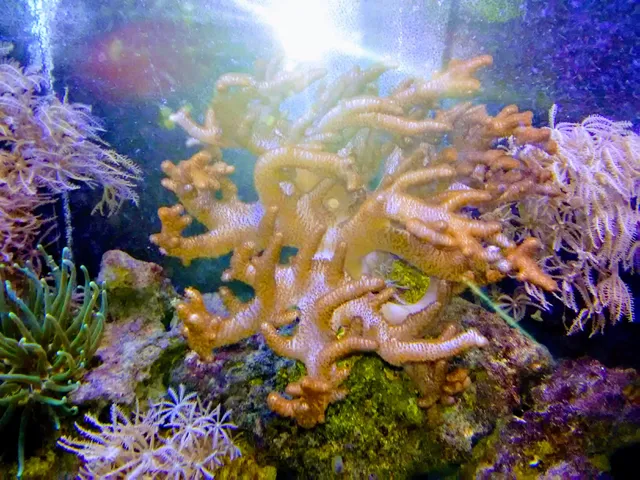 City of New Britain Park