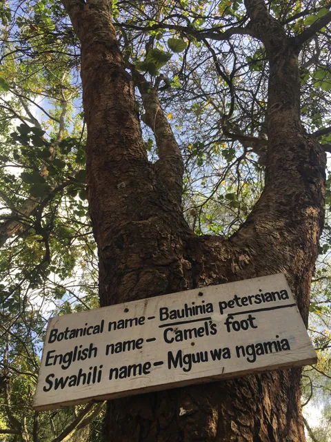 Tanzania Wildlife Research Institute