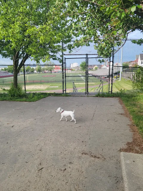 The Pup Park on Chelsea