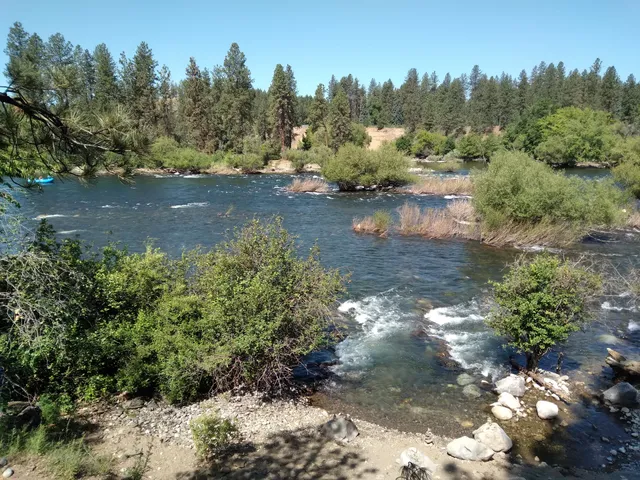 Indian Canyon Natural Area