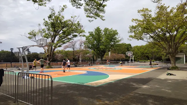 Basketball courts